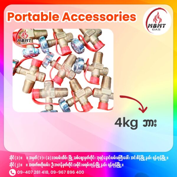 Portable Accessories